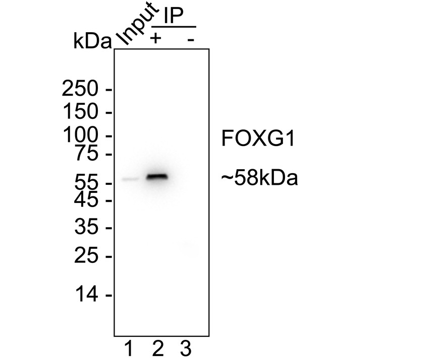 HA751263_2.jpg