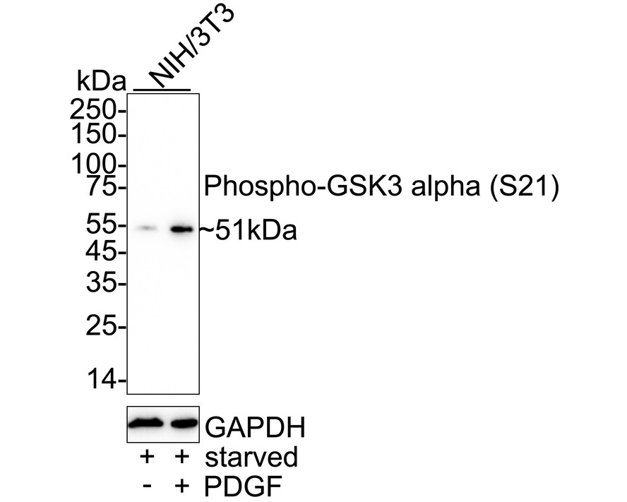 HA751265_2.jpg
