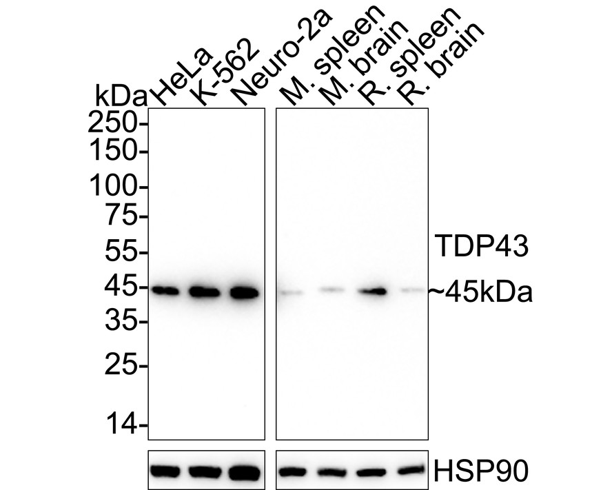 HA751268_5.jpg
