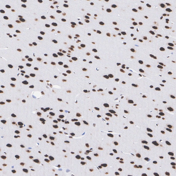HA751268_7.jpg
