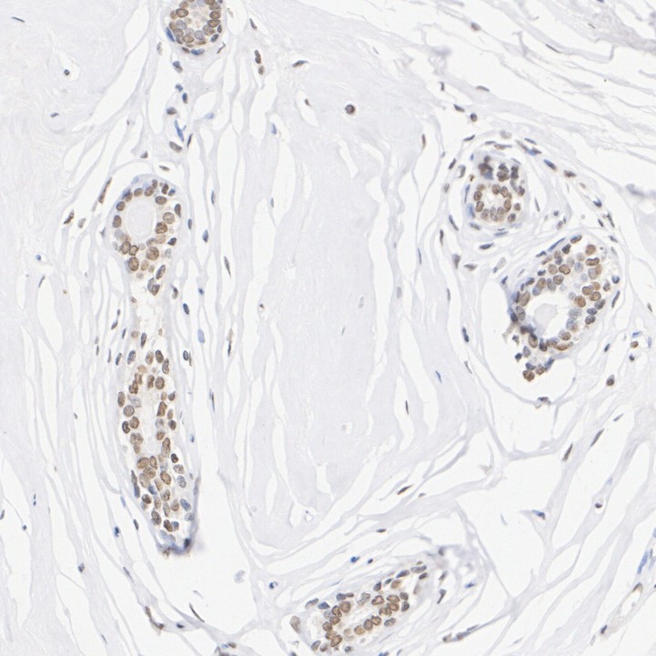 HA751269_2.jpg