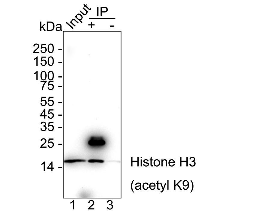 HA751269_8.jpg
