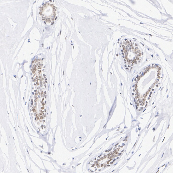 HA751270_2.jpg
