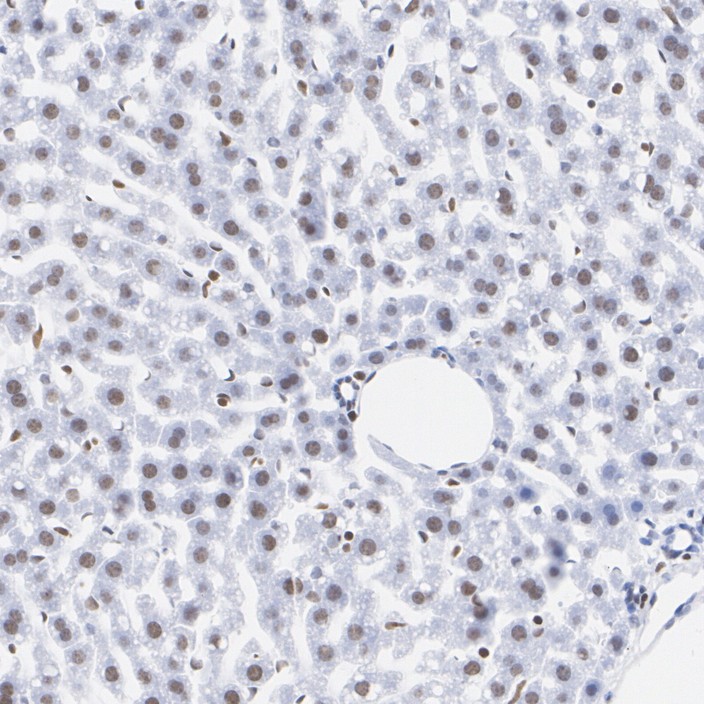 HA751271_3.jpg