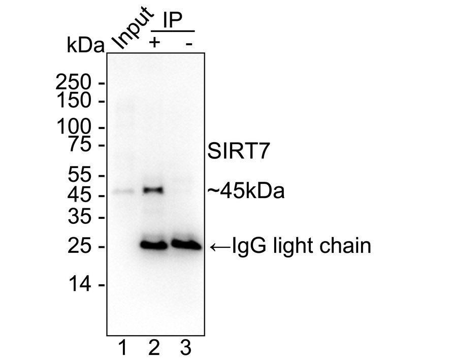 HA751271_4.jpg