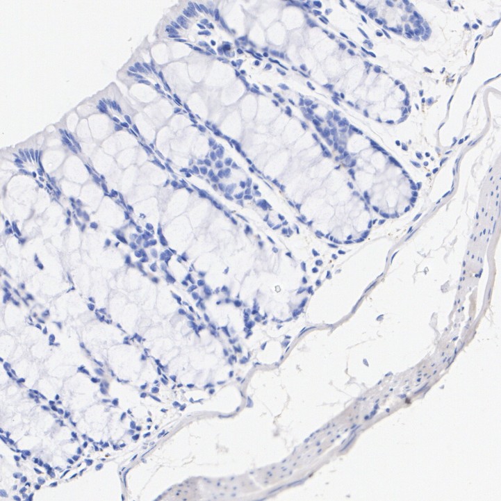 HA751273_5.jpg