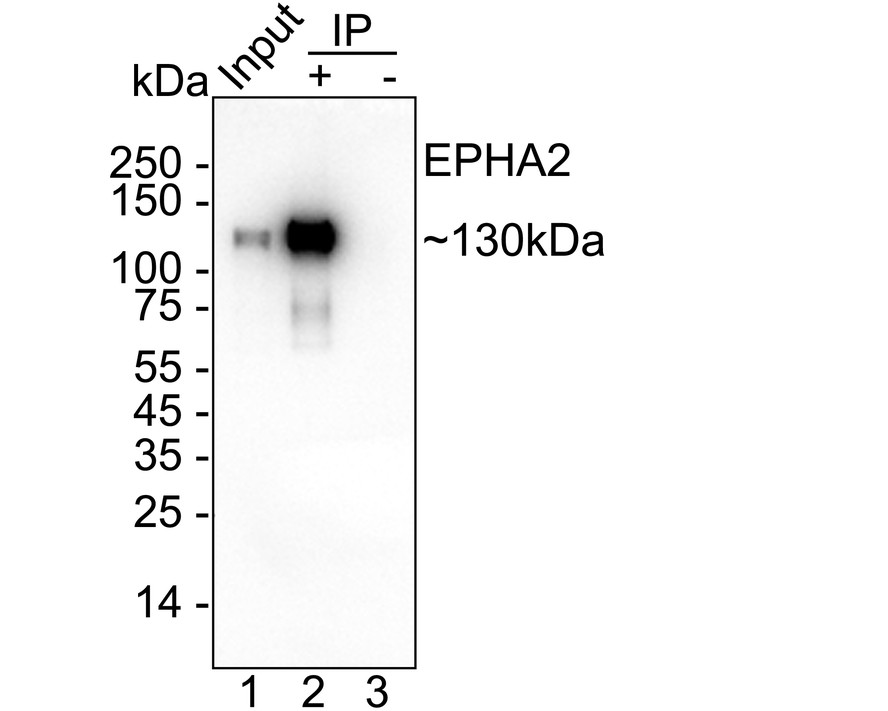 HA751275_3.jpg