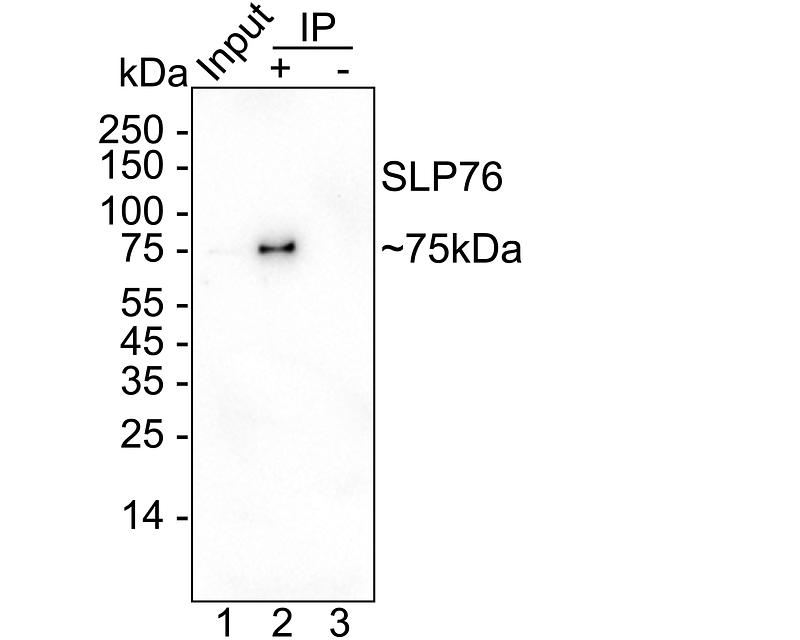 HA751276_5.jpg