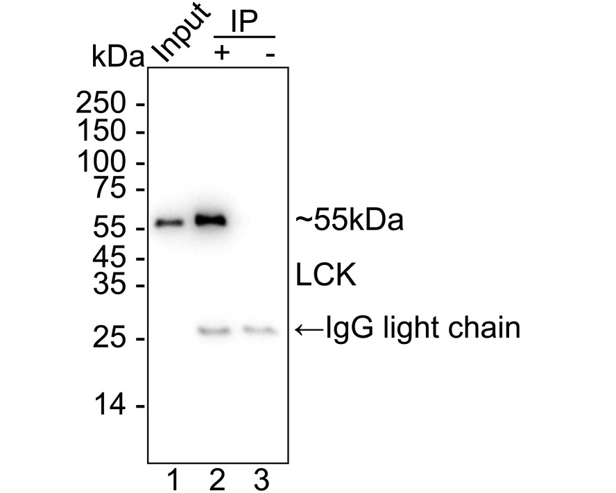 HA751279_5.jpg
