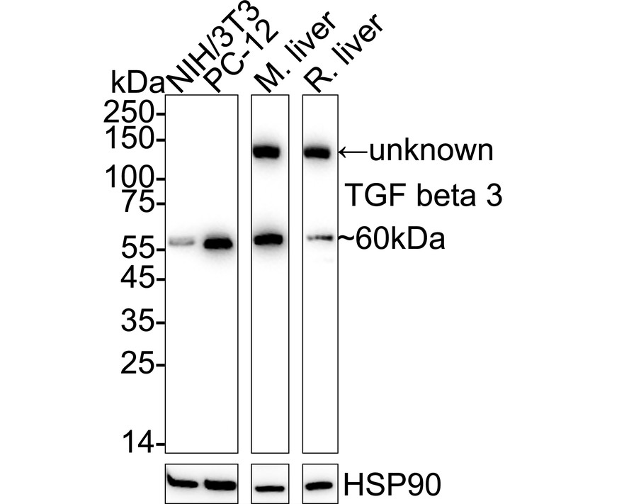 HA751280_2.jpg