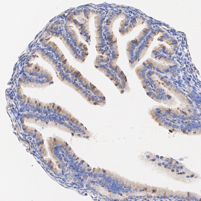 HA751280_5.jpg