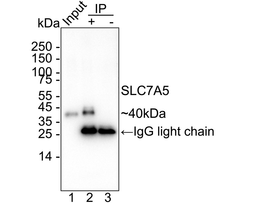 HA751282_5.jpg