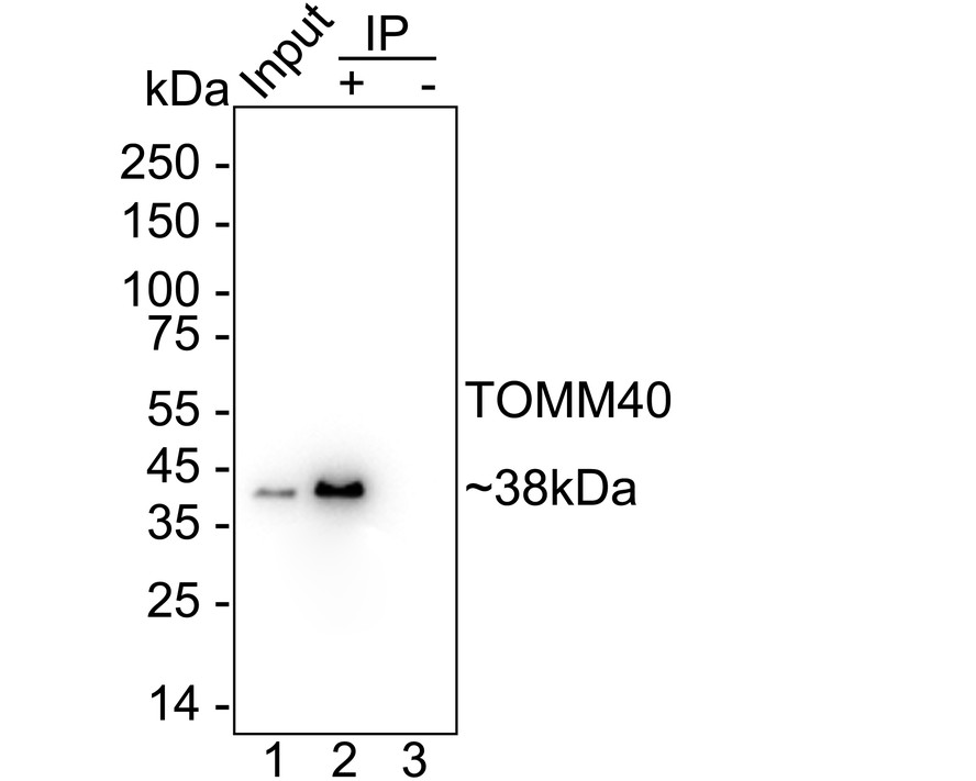 HA751284_10.jpg