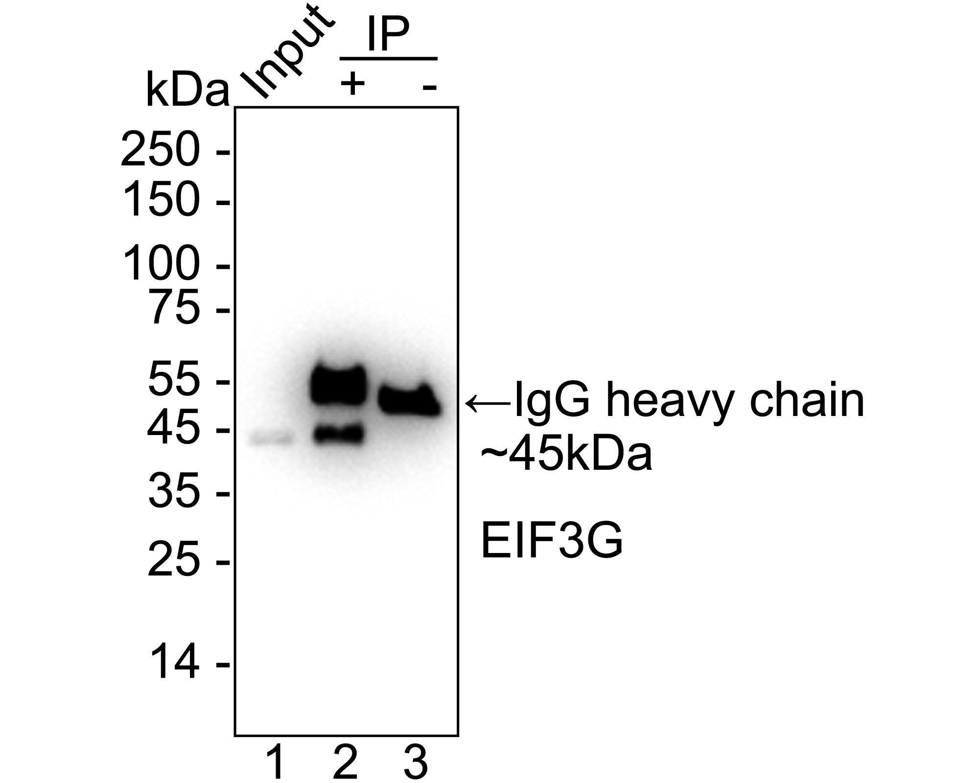 HA751288_4.jpg