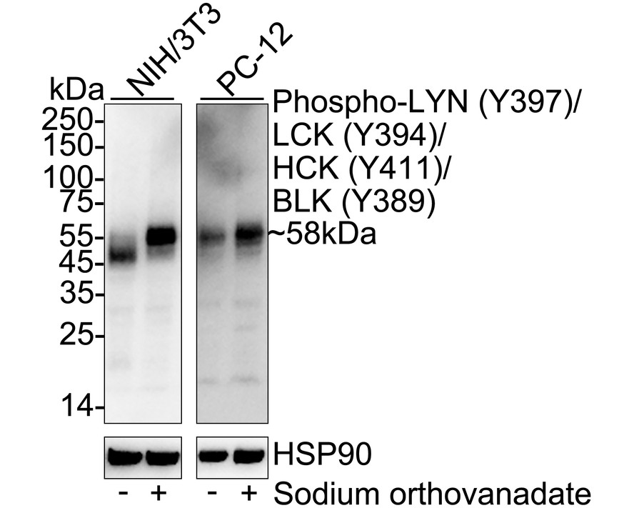 HA751290_2.jpg