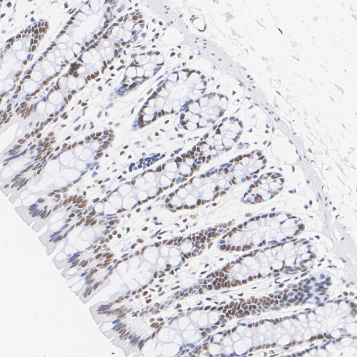 HA751317_6.jpg