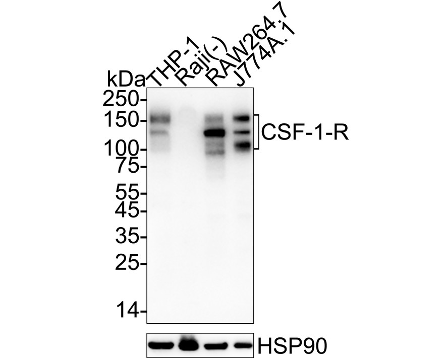 HA751319_1.jpg