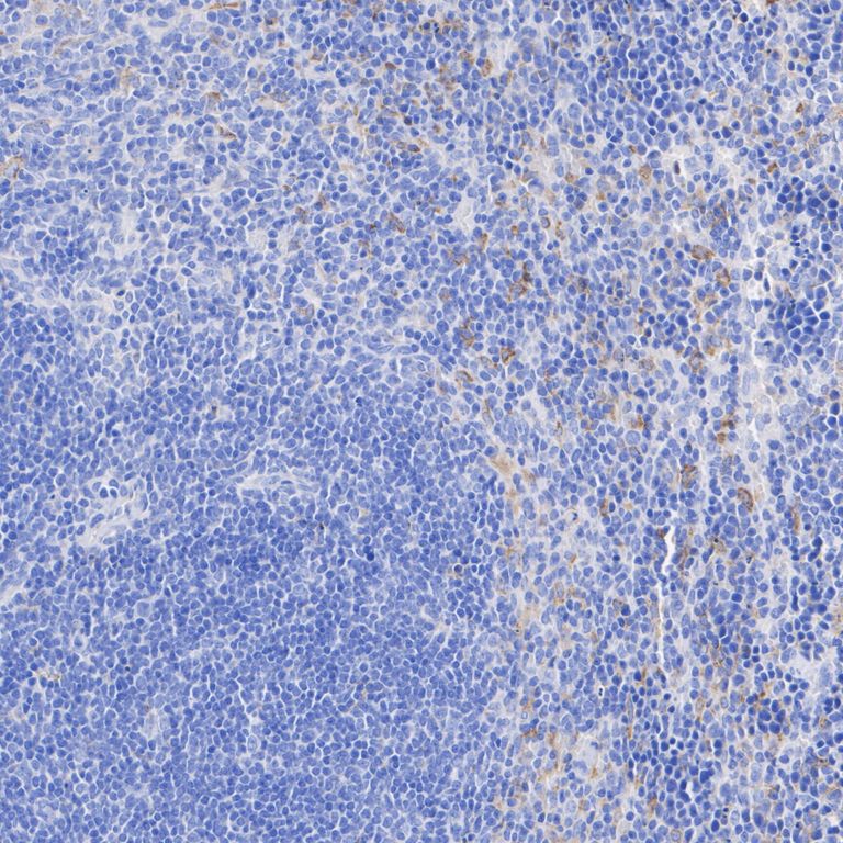 HA751319_3.jpg