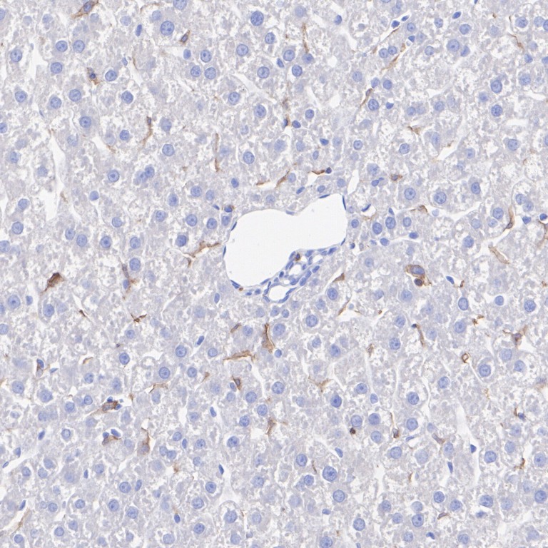 HA751319_4.jpg