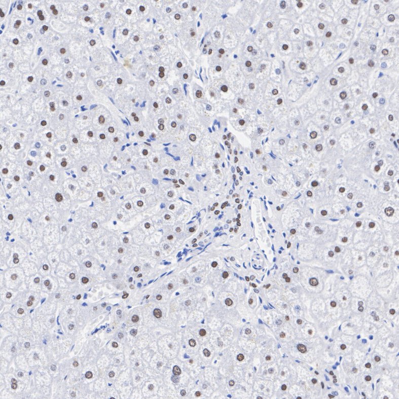 HA751322_2.jpg