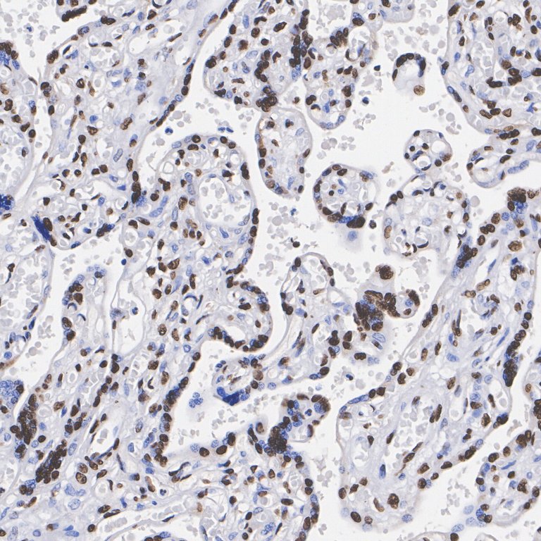 HA751322_3.jpg