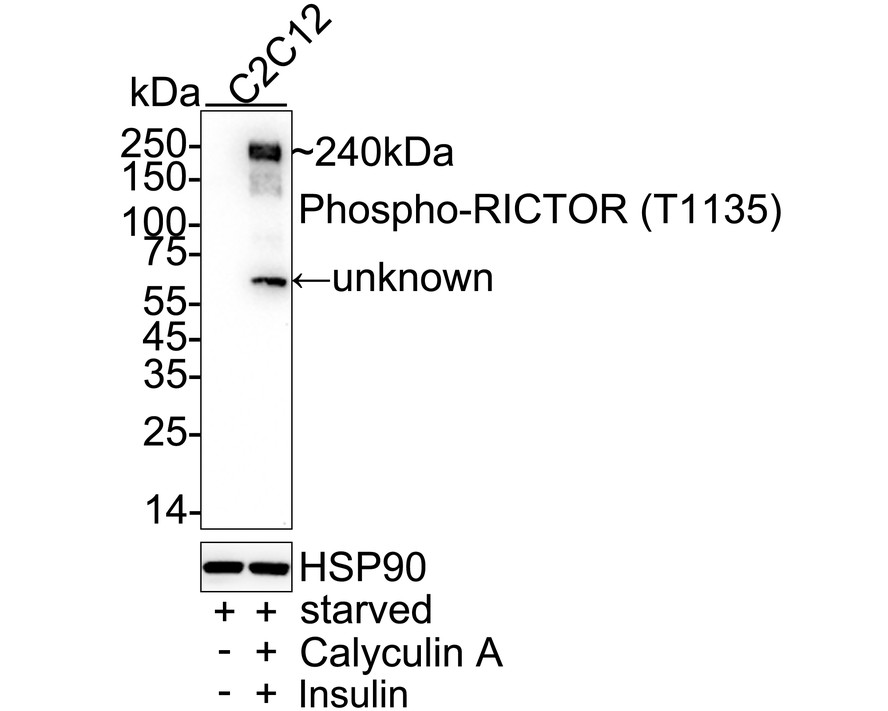 HA751323_2.jpg