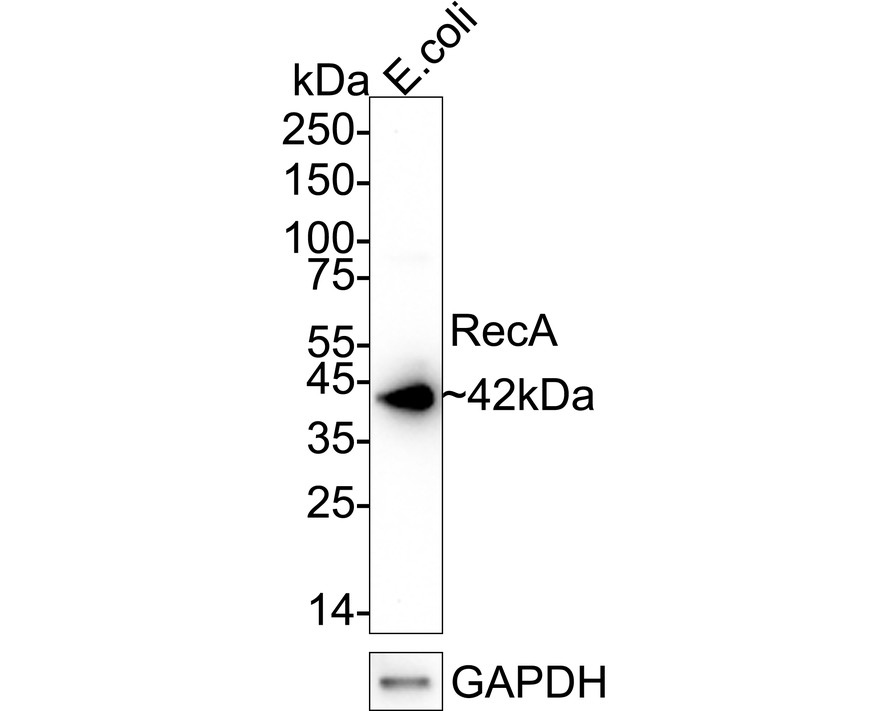 HA751327_1.jpg