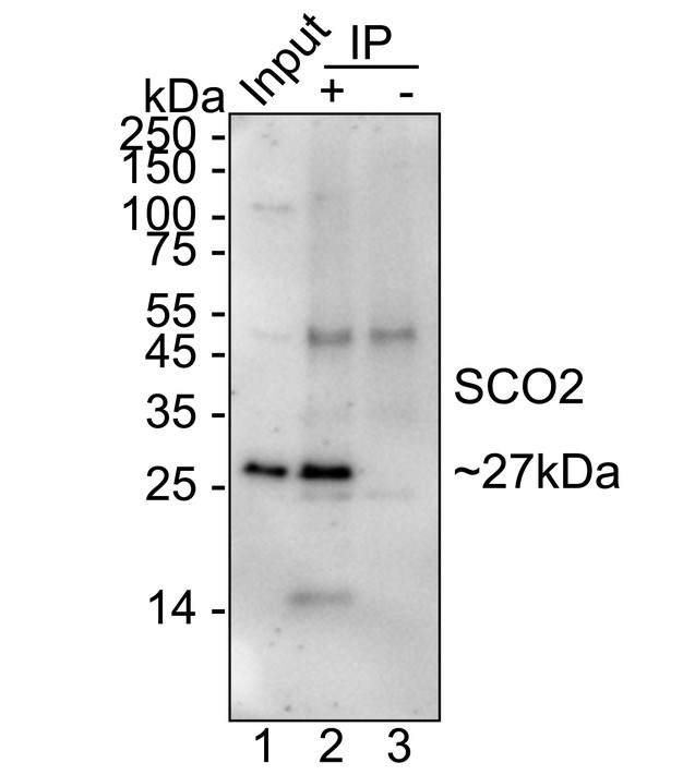 HA751328_6.jpg