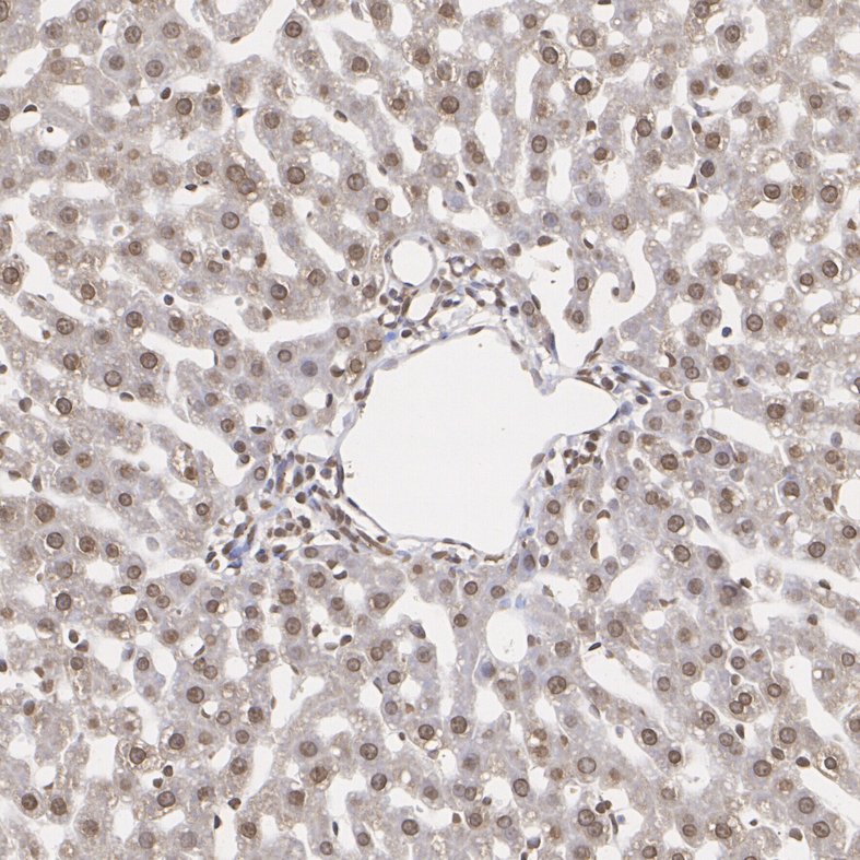 HA751334_5.jpg