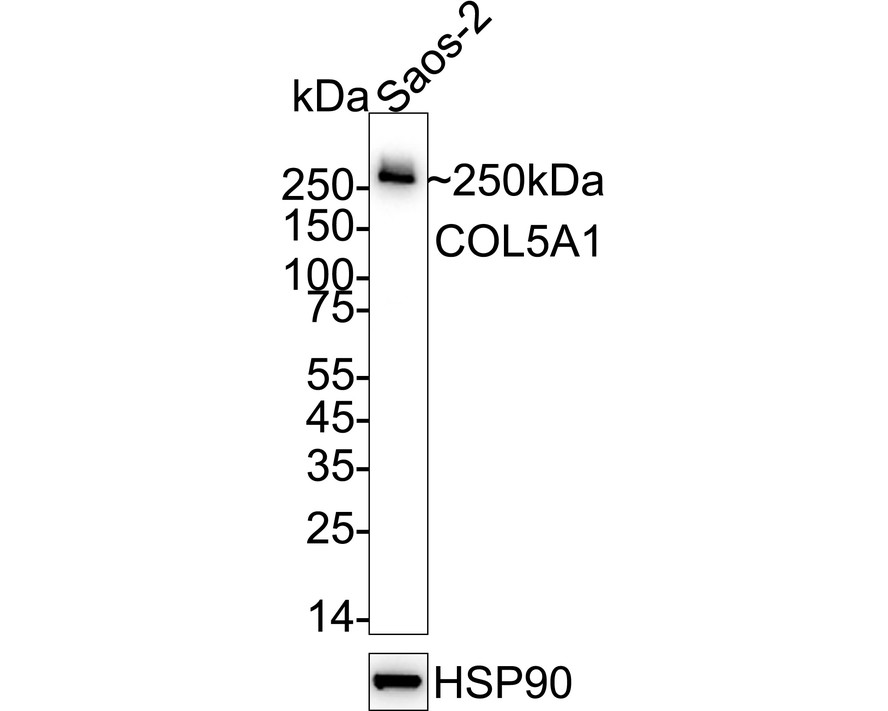 HA751338_1.jpg
