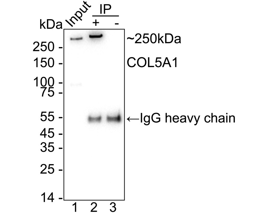 HA751338_4.jpg
