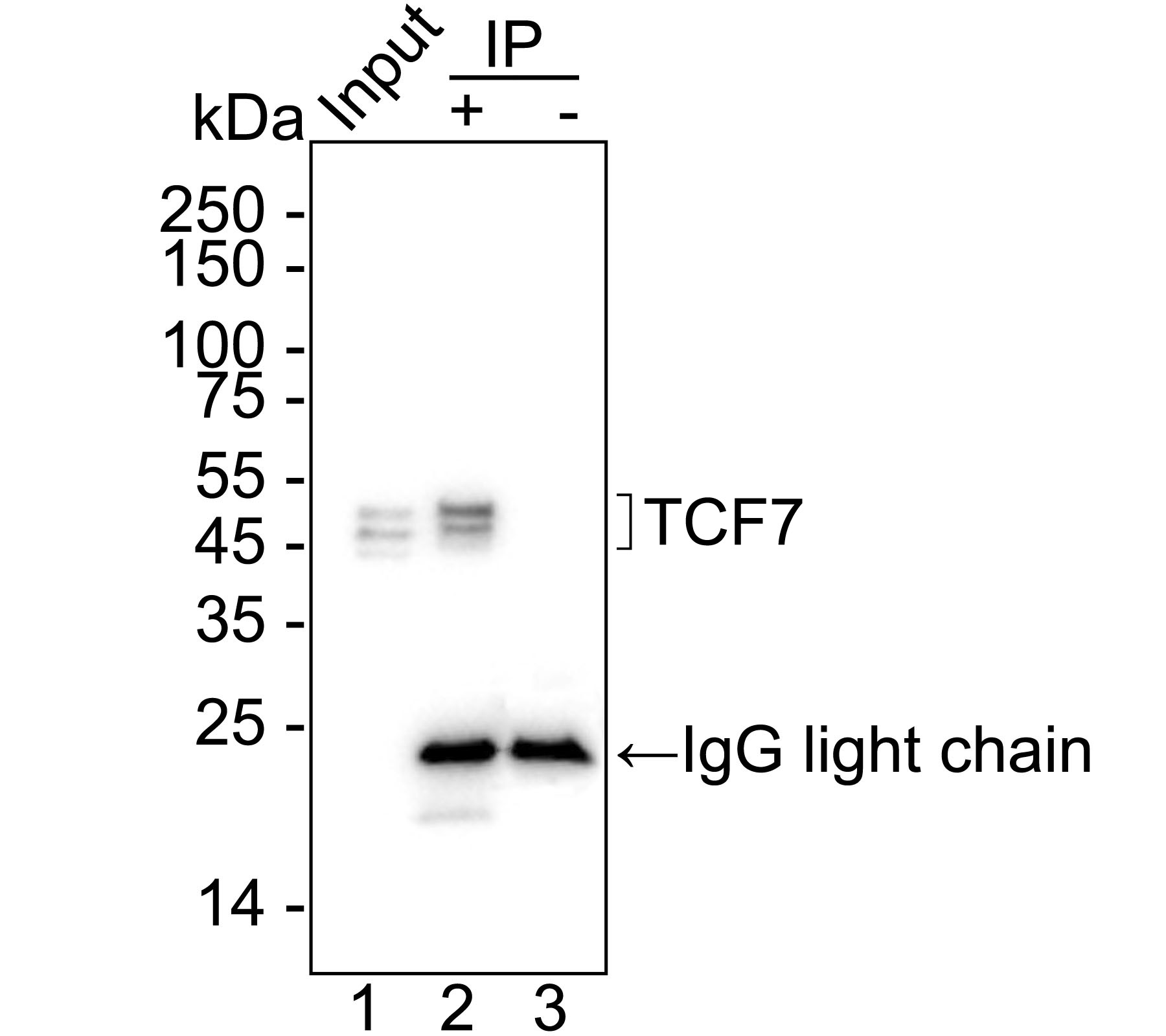 HA751340_4.jpg