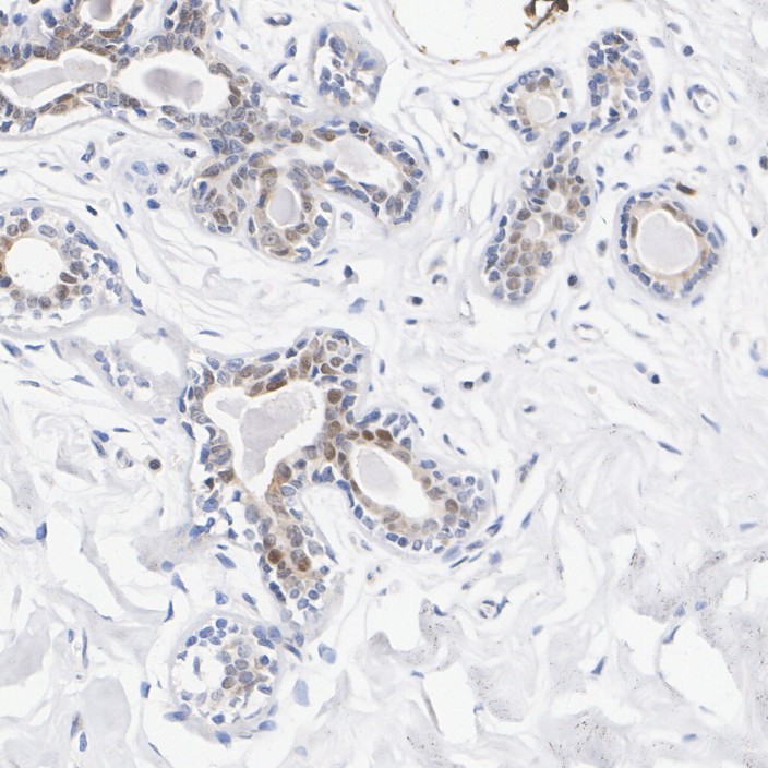 HA751344_2.jpg