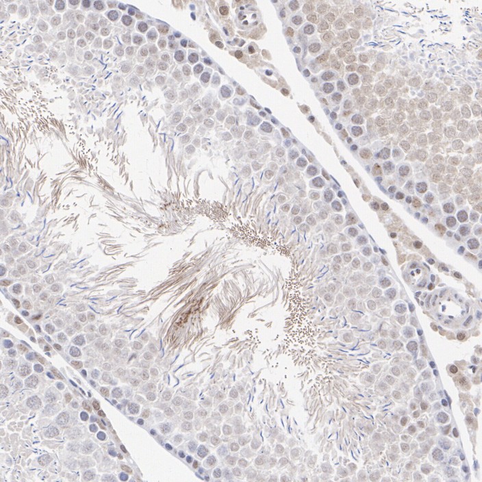 HA751344_4.jpg