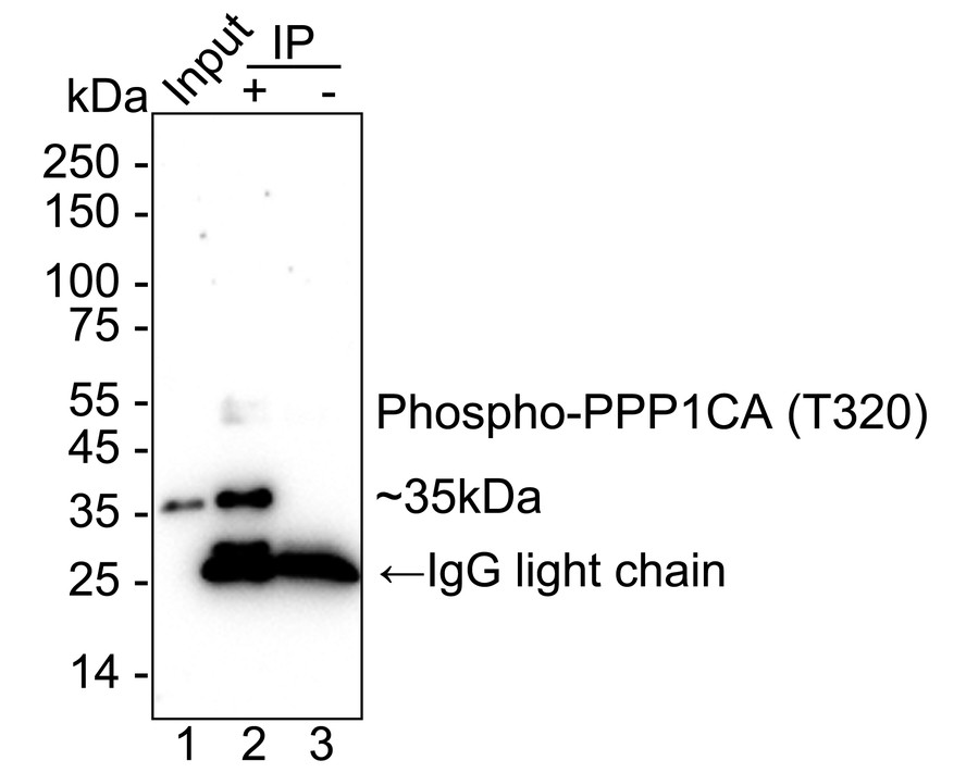 HA751344_5.jpg