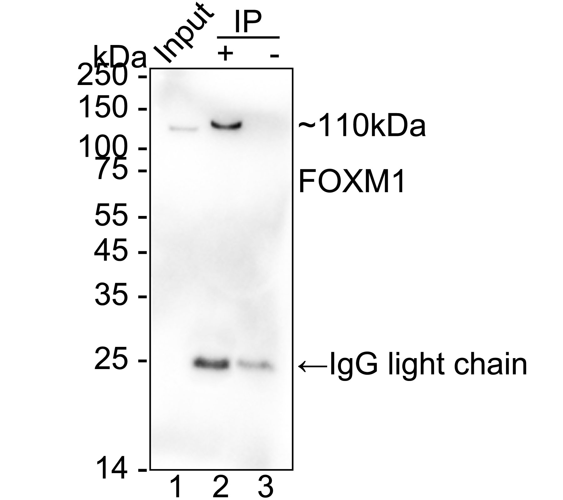 HA751347_2.jpg