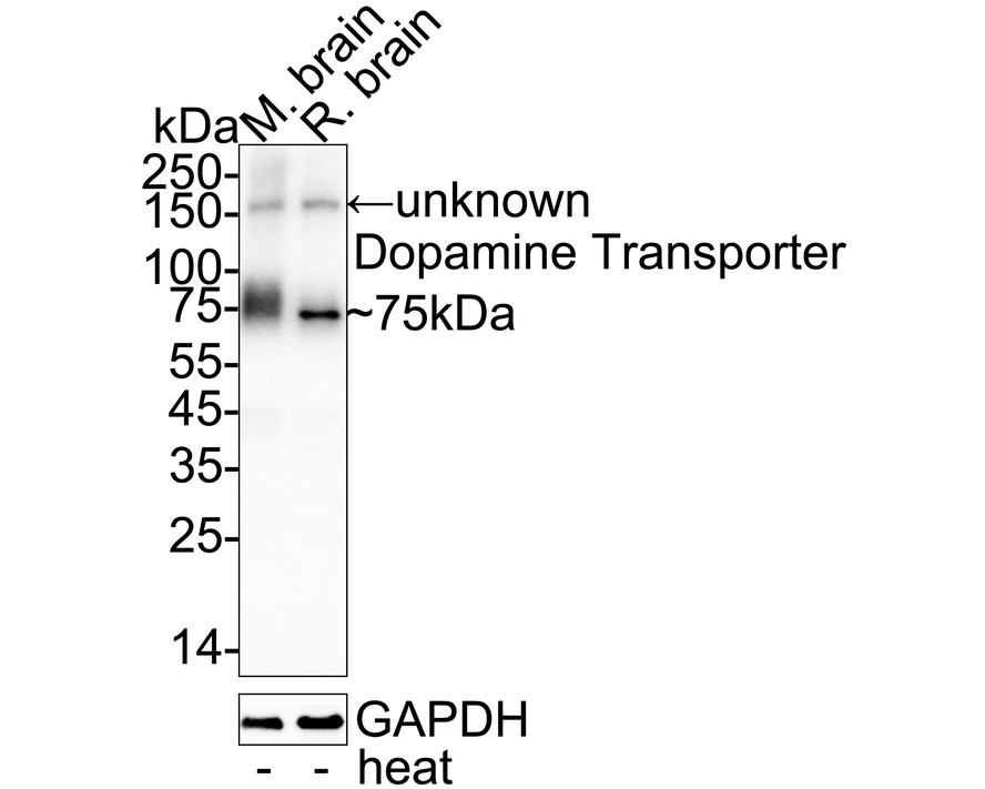 HA751352_7.jpg