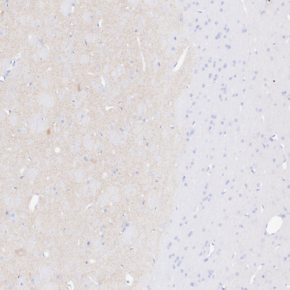 HA751353_5.jpg