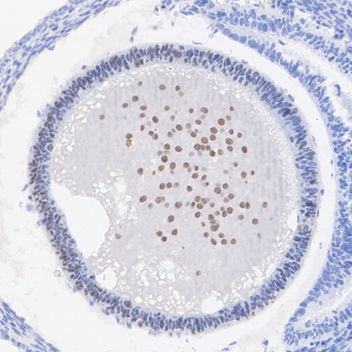 HA751354_4.jpg
