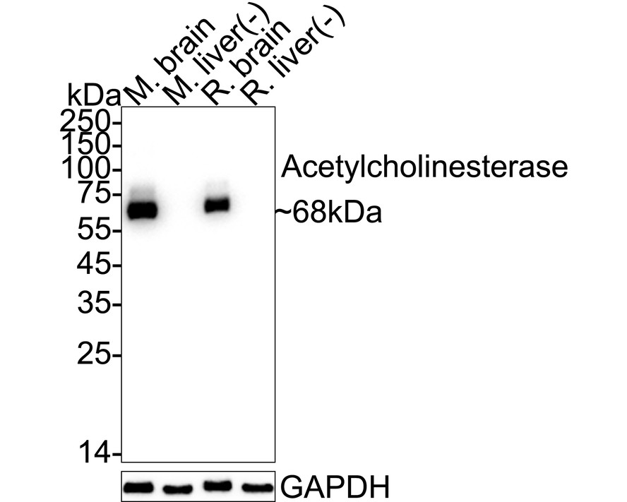 HA751358_6.jpg