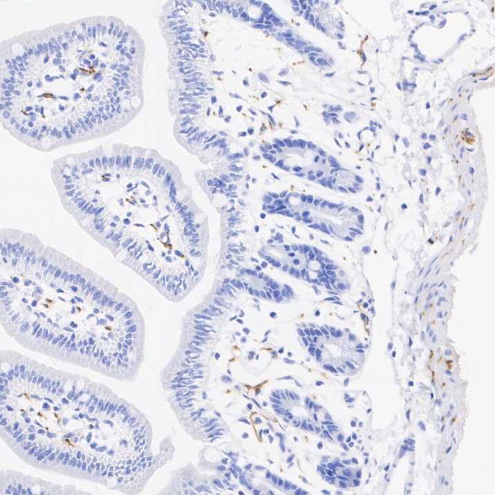 HA751359_7.jpg