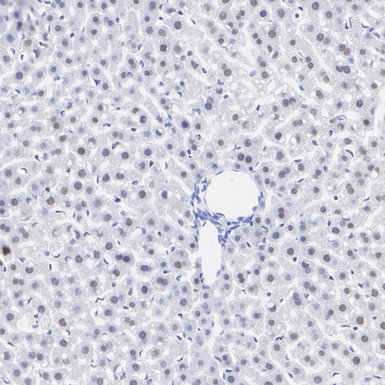 HA751360_2.jpg