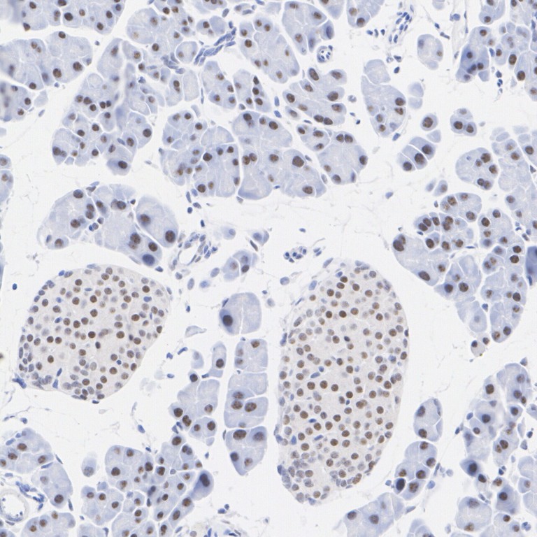 HA751360_3.jpg