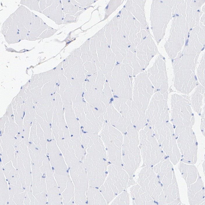 HA751362_4.jpg