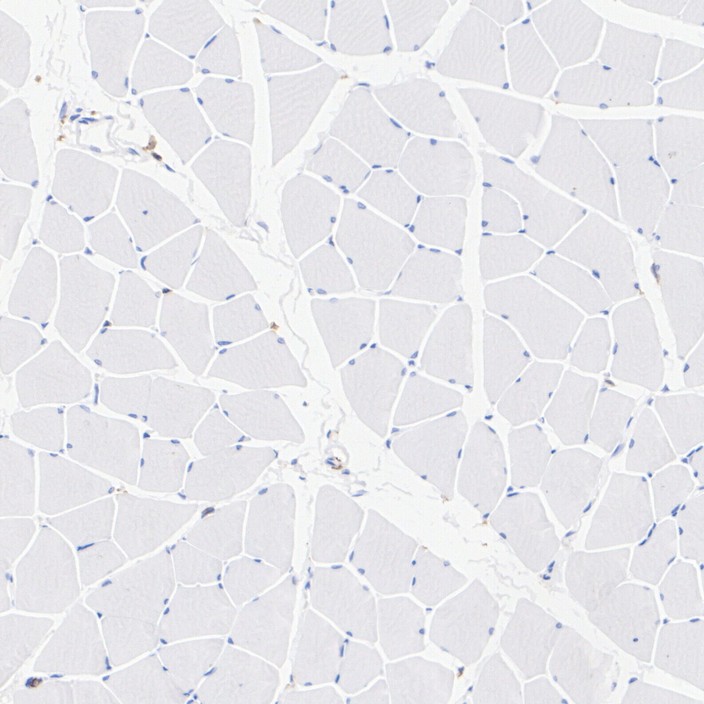 HA751362_8.jpg