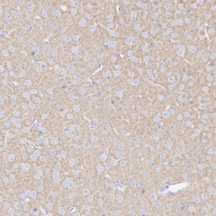 HA751364_2.jpg