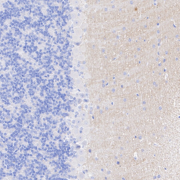 HA751364_4.jpg