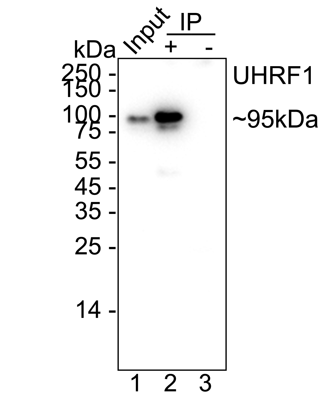HA751366_5.jpg