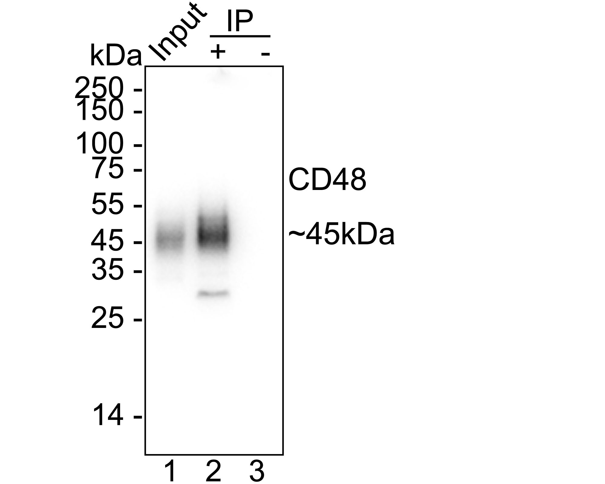 HA751368_4.jpg