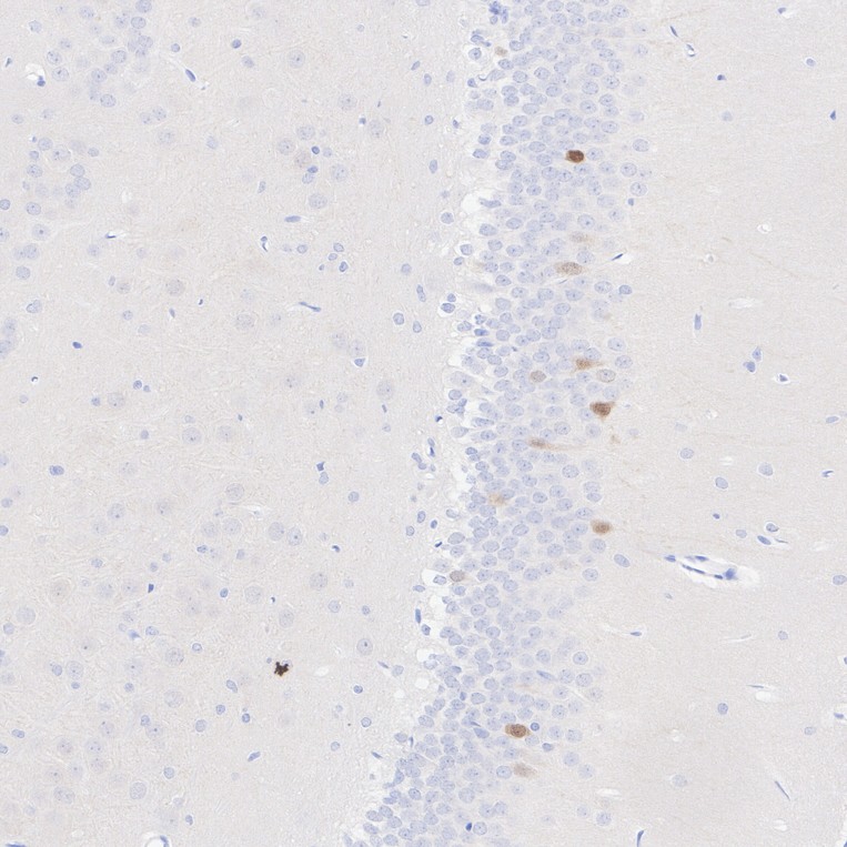 HA751369_3.jpg